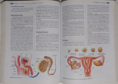 Biologia Ensino Médio - Volume Único, Por Sérgio Linhares & Fernando Gewandsznajder (autores), 1a Edição 2010 (Usado)