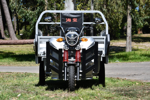 Triciclo 100% Eléctrico Utilitario Hard Work Trike Uruguay