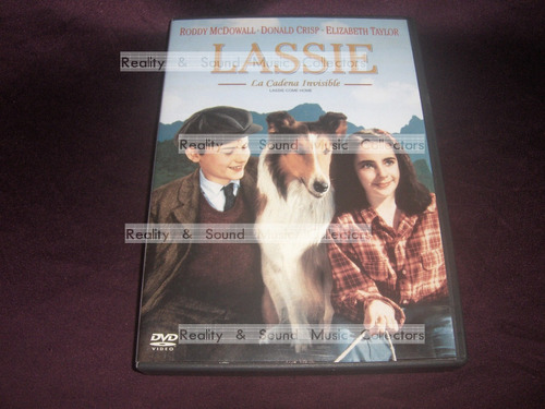 Lassie La Cadena Invisible Pelicula Dvd Elizabeth Taylor