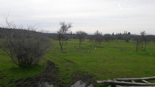 Sitio En Venta En San Javier