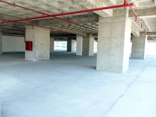 Piso De Oficina En Centro Empresarial La Esmeralda, Campo Alegre