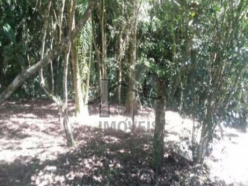 Imagem 4 de 5 de Cód 1992 - Terreno De 1.200 M² Todo Cercado. - 1992