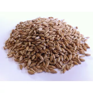 20 Kilos Semillas De Triticale T-5 - Triticosecale Aestivum