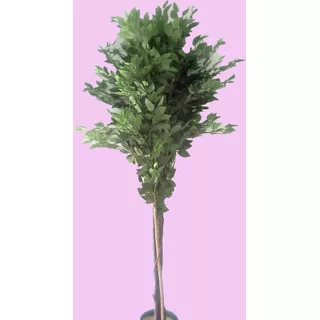 Plantas De Interior Artificiales - Ficus Grande 185 Cm