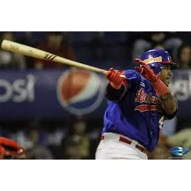 Bate Personalizado ,usado Y Firmado Por Hector Sanchez