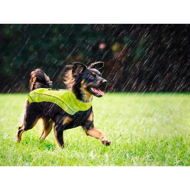 Impermeable Perros Marca Rogz 36 Cms Largo