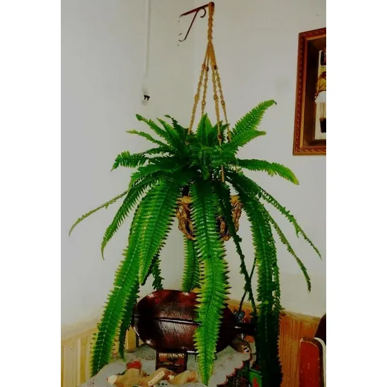 Plantas De Interior Artificiales, Helecho Grande.
