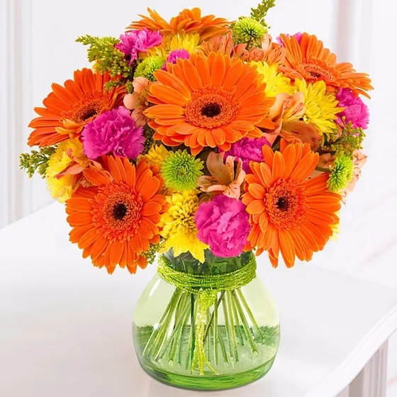 Gerbera Mix Flor Gerberas Flores Sementes Para Mudas