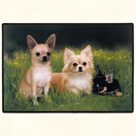 Alfombra Puertas Casas,americana, Perro Chihuahua 68 X46 Cms