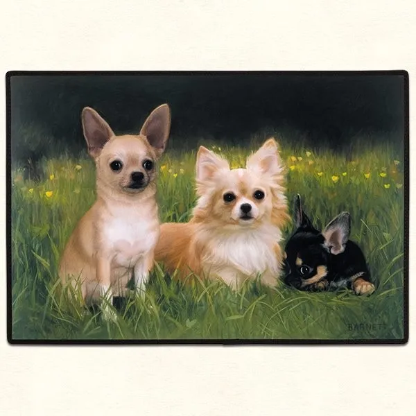 Alfombra Puertas Casas,americana, Perro Chihuahua 68 X46 Cms