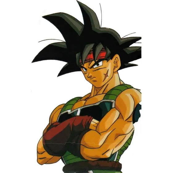 Dragon Ball Z Soul Hyper Figuration Bardock Special Turles