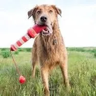 Rogz Juguete Para Perros Flotante Large
