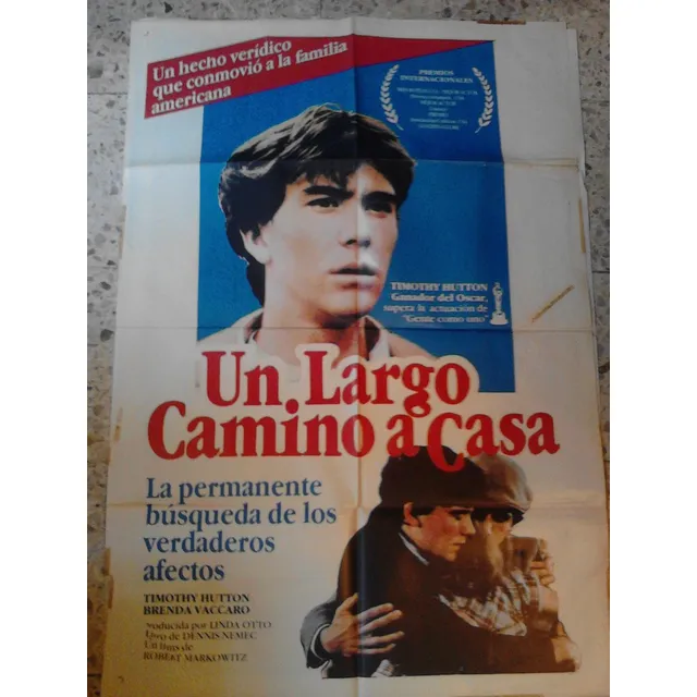 Afiche Un Largo Camino A Casa
