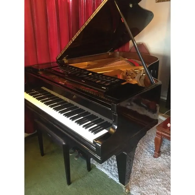 Piano Alemán 1/2 Cola (august Forster), Impecable!