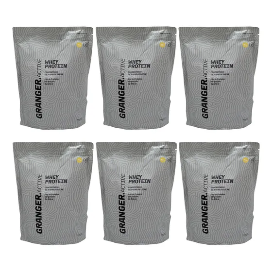 Granger X6 Whey Protein Suplemento Proteína Vainilla 750gr