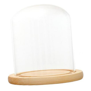 3 Cúpula Transparente Con Base De Madera 3 Cúpula Transparente Con Base De Madera