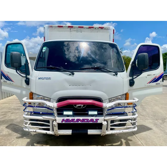 Hyundai H65 2019 16 Pies De Largo, Optimas Condiones