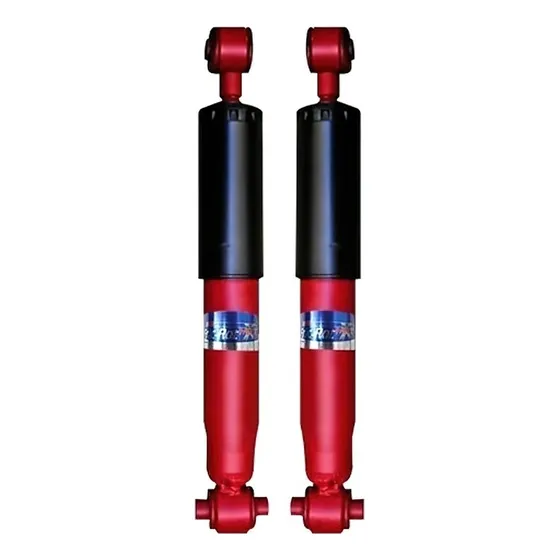 Kit X2 Amortiguador Trasero Fric Rot P/ Peugeot 206