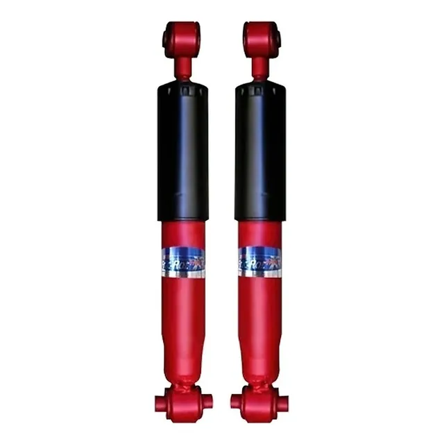 Kit X2 Amortiguador Trasero Fric Rot P/ Peugeot 206