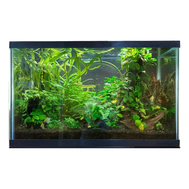 Acuario 29 Galones Completo ¡ Usado ! ¡ Obsequio !