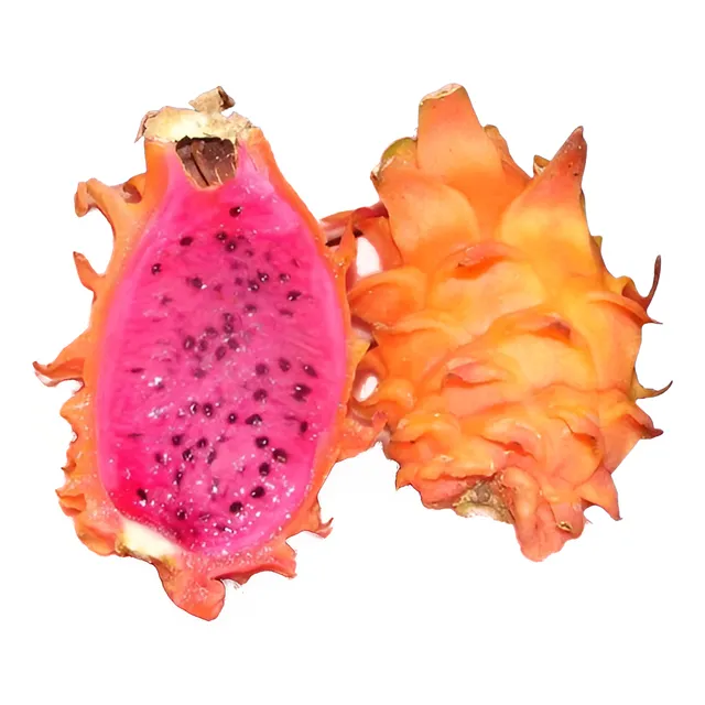 Pitahaya Injertada (orange Peruana)
