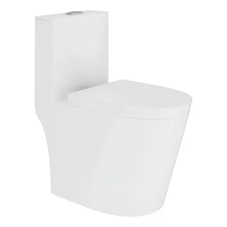 Vaso Sanitário Monobloco Caixa Acoplada Completo Cor Branco