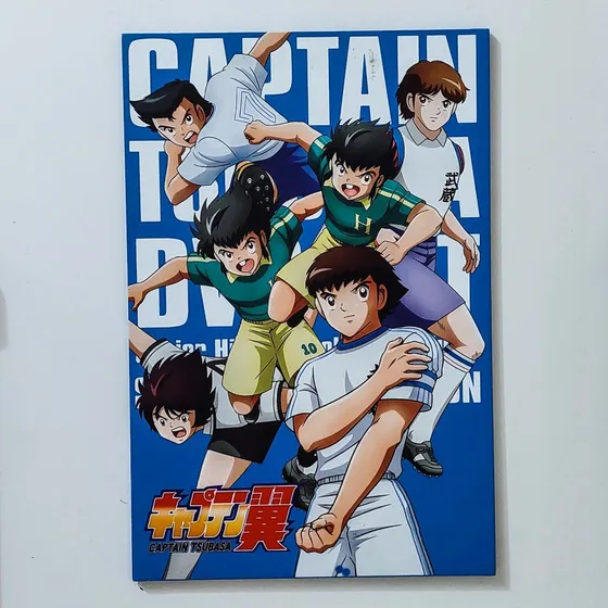 Cuadros Decorativos De Super Campeones