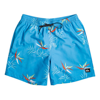 Traje De Baño Quiksilver Hombre Caballero Everyday Volley Traje De Baño Quiksilver Hombre Caballero Everyday Volley