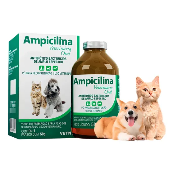 Ampicilina Oral 50g Bactericida Antibiótico Cães E Gatos