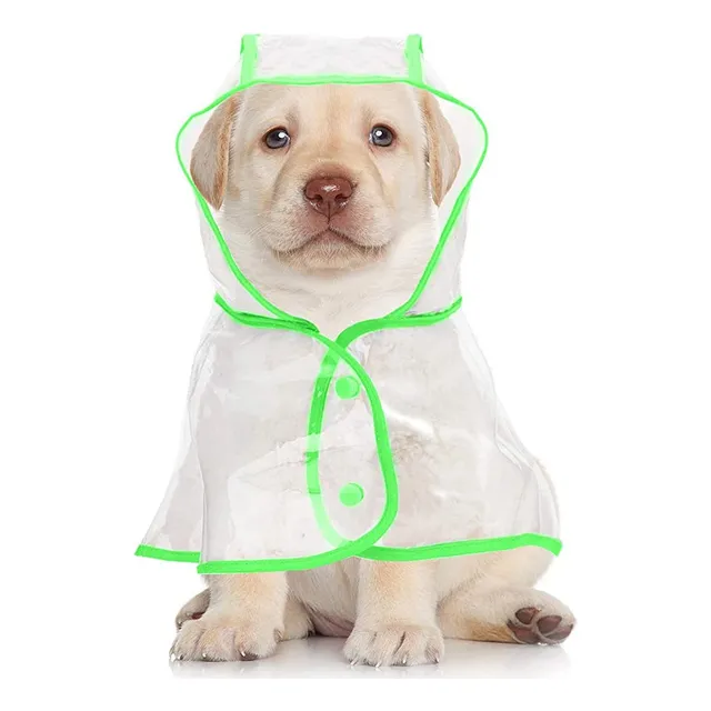 Capa De Lluvia Para Perro Impermeable Transparente