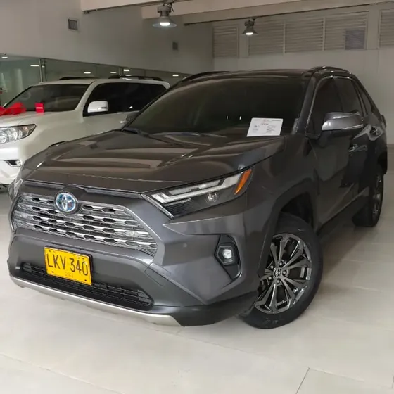 Toyota Rav4 2022 2.5 Limited Hev 4x4 Cvt