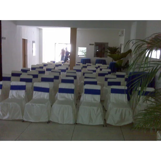 Lazos Para Sillas Festejo