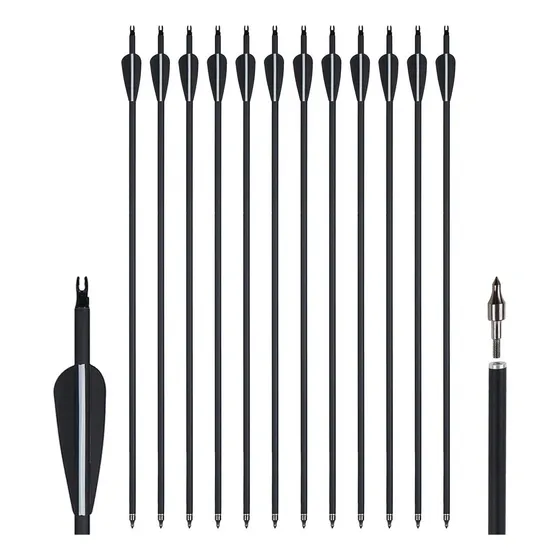 6 Unidades Flecha Carbono Punta Removible