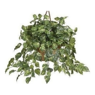 Planta De Hoja De Teléfono Artificial Colgante Con Maceta. Planta De Hoja De Teléfono Artificial Colgante Con Maceta.