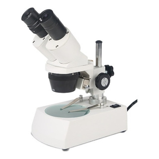 Microscopio Estéreo Binocular Frontal Xt 1pcs Microscopio Estéreo Binocular Frontal Xt 1pcs