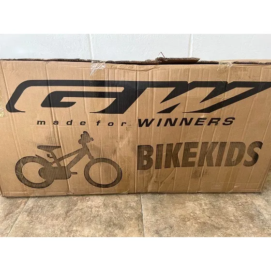 Bicicleta Rin 20 Para Niños Marca G W
