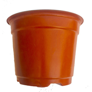 Macetas 8 Pulgada Flexible Terracota Matec 25 Maceteros Macetas 8 Pulgada Flexible Terracota Matec 25 Maceteros
