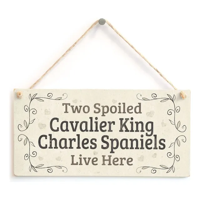 Do Spoiled Cavalier King Charl Spaniels Vivir Aqui  Perro