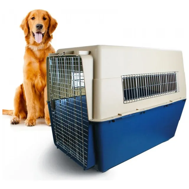 Kennel Transporte Perros Modelo 500 Iata Viaje Aereo Golden