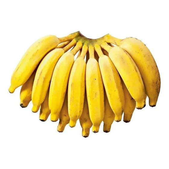 Banana Prata 2 Unidades Mudas