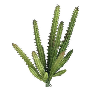 Planta De Plástico Tipo E, Rama De Cactus, Bricolaje, Oficin Planta De Plástico Tipo E, Rama De Cactus, Bricolaje, Oficin