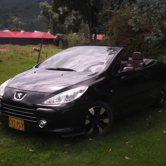 Peugeot 307 2009 Cc Coupe Cabriolet