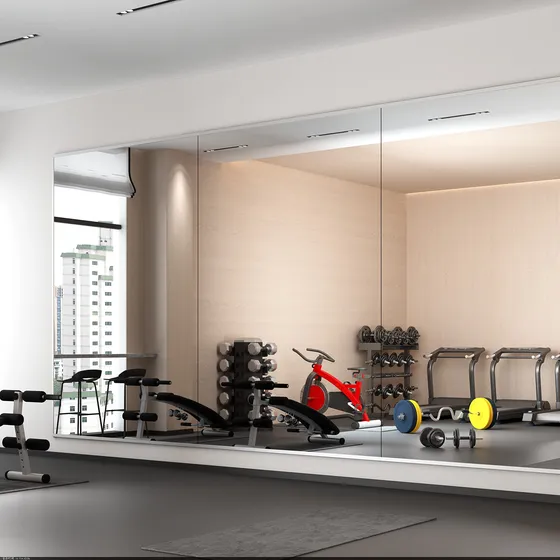 Murrey Home Espejo Gimnasio Para Casa 48 X 32  Entrenamiento