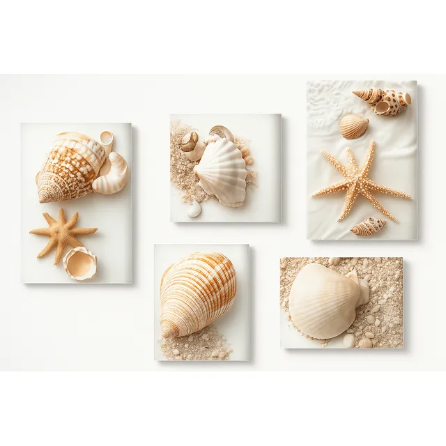 Kit 5 Quadros Decorativos Mdf Sala Grande Escritório Conchas