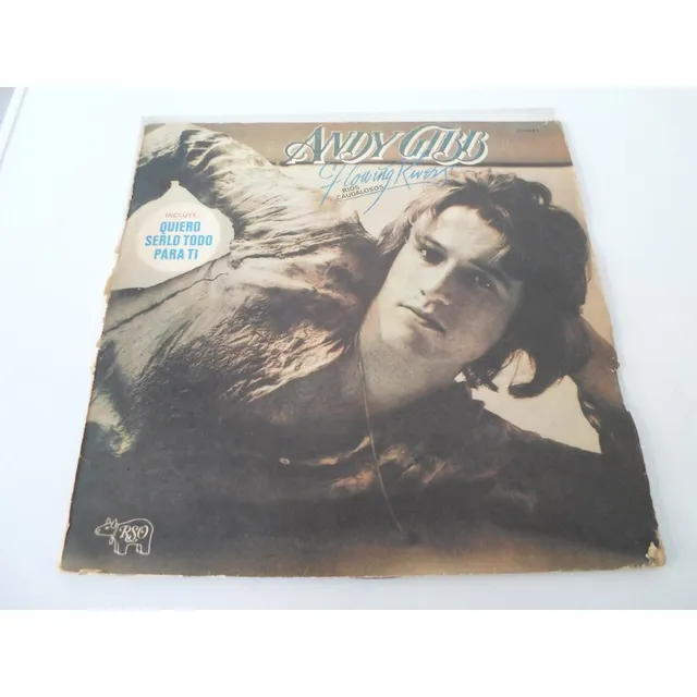 Andy Gibb - Rios Caudalosos - Vinilo Argentino