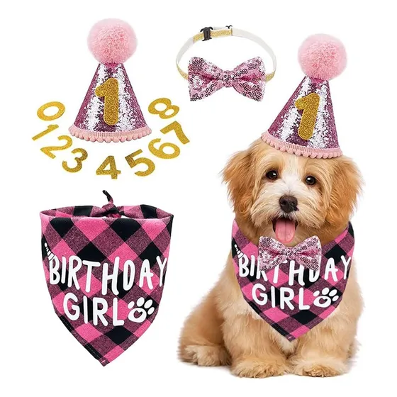 Set Decoración Disfraz Fiesta Cumpleaño Perros Rosa Cotillón
