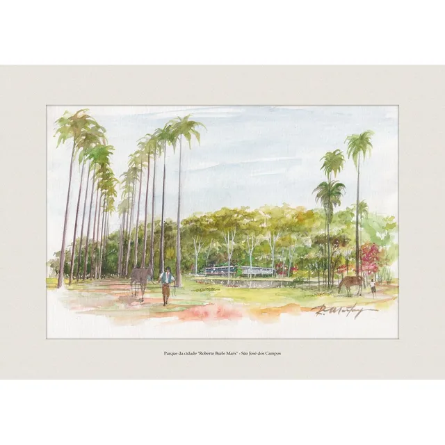 Parque Da Cidade  Roberto Burle Marx  - São José Dos Campos