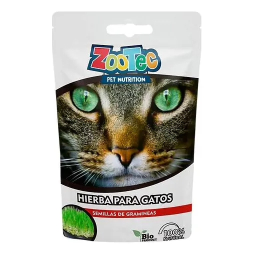 Hierba Gatera Para Gatos Semillas De Gramineas Purgante Zootec 80g