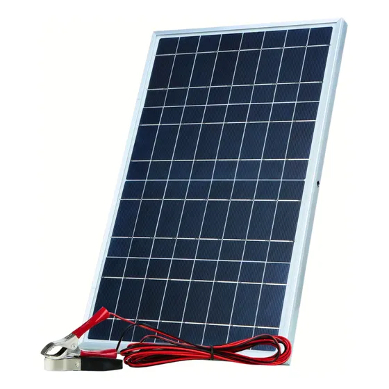 Panel Solar Monocristalino 30w Sunwaytech Negro Y Gris 19.8v 23.7v