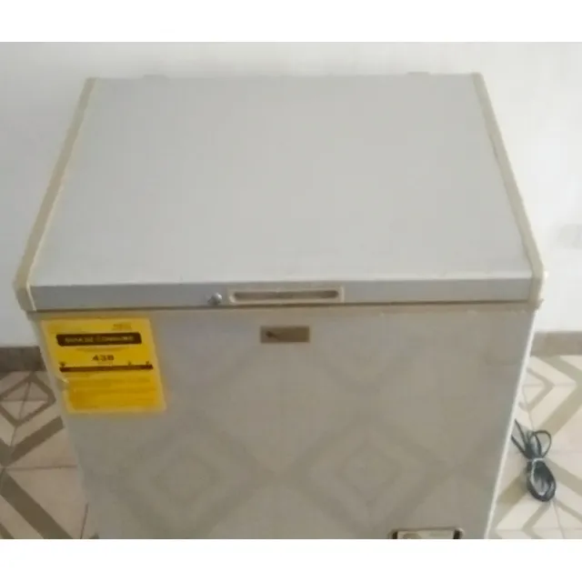 Frizer G Plus De 200 Lts. Usado De Capacidad